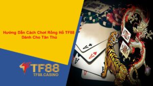 Hướng Dẫn Cách Chơi Rồng Hổ TF88 Dành Cho Tân Thủ